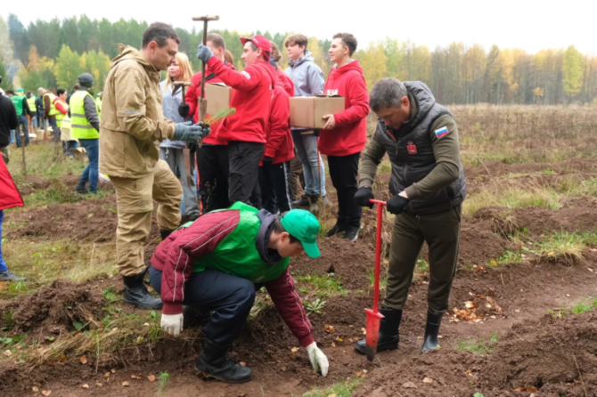 В Пермском крае в октябре стартует новая экологическая инициатива – «День защиты лесов»